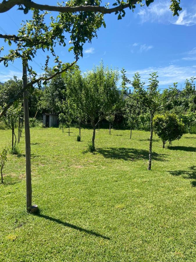 波瓦德兰赫索Casa Dos Avos别墅 外观 照片